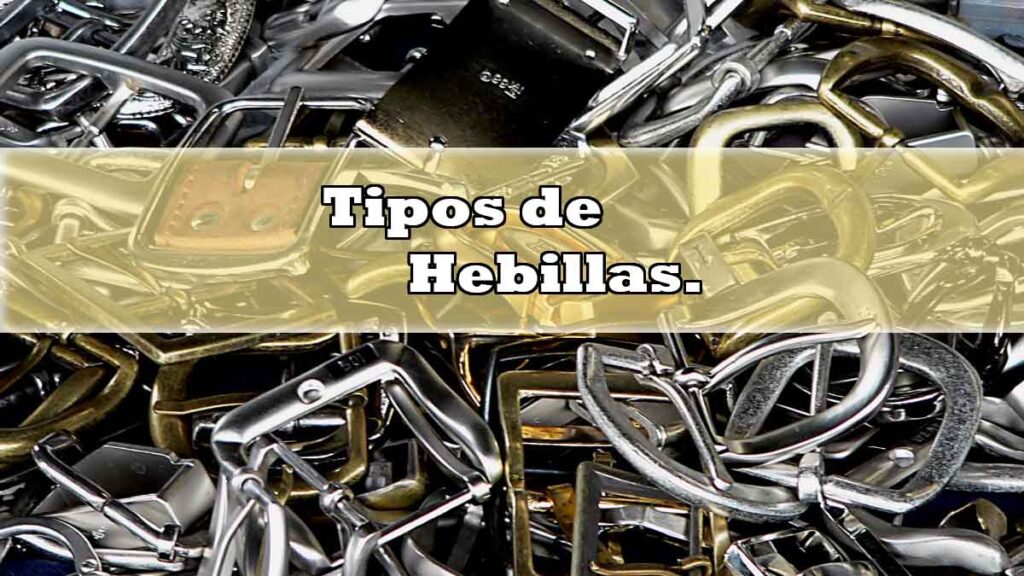 encabezado tipos de hebillas de toros
